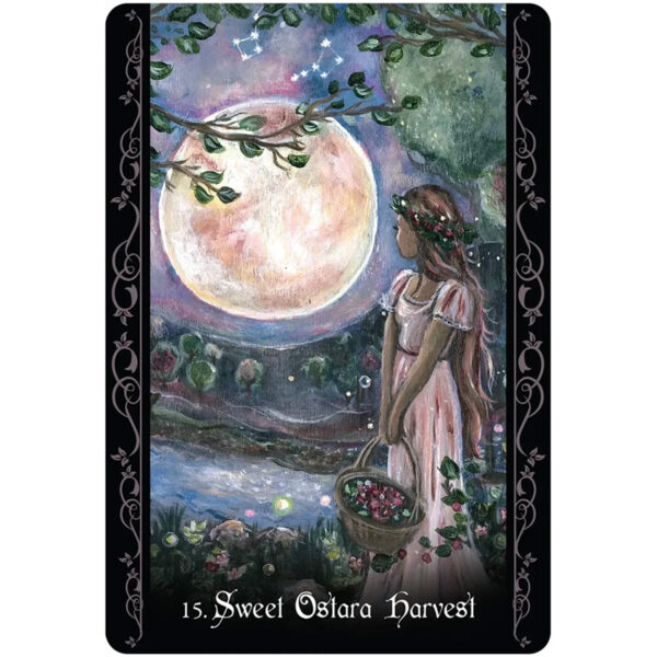 Solitary Witch Oracle 7