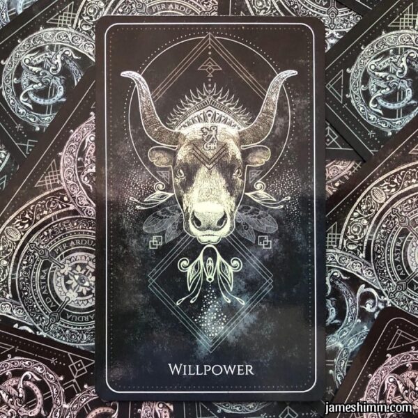 Talisman Oracle 14