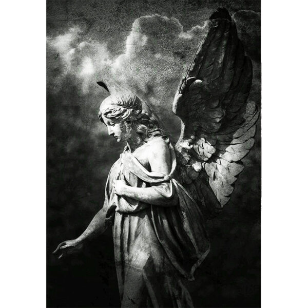 Gray Angel Oracle 10
