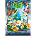 Water Alchemy Oracle 3