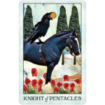 Crow Tarot – Pocket Edition 9