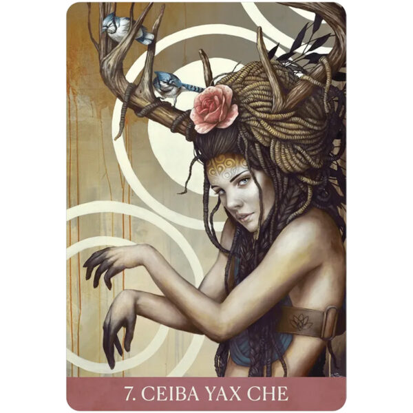 Medicine Heart Oracle 3