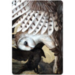 Medicine Heart Oracle 7