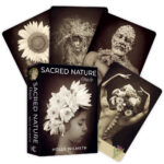 Sacred Nature Oracle 7