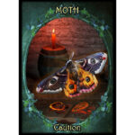 Witches Familiars Oracle 5