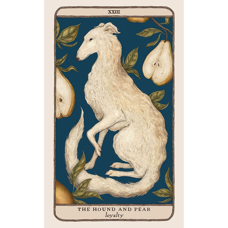Bộ Bài Woodland Wardens Oracle - Sự Kỳ Diệu Của Thiên Nhiên