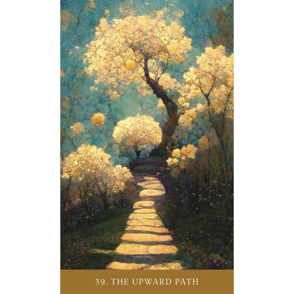 Path of Light Oracle 4