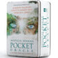Mystical Shaman Oracle - Pocket Edition 9
