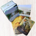 Mystical Shaman Oracle – Pocket Edition 11