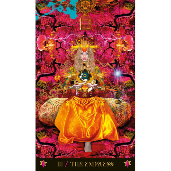 Starman Tarot Deck 3