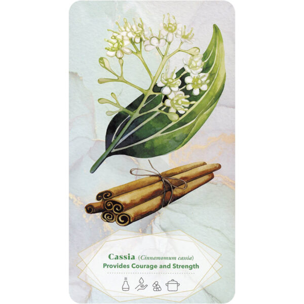 Essential Oils Healing Deck 4