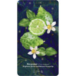 Essential Oils Healing Deck 5
