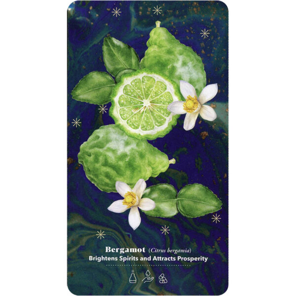Essential Oils Healing Deck 5