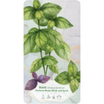Essential Oils Healing Deck 6