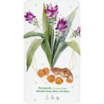 Essential Oils Healing Deck 7