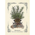 Green Witch’s Oracle Deck 2