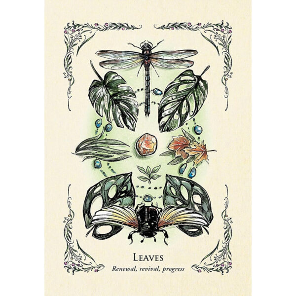 Green Witch’s Oracle Deck 3