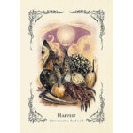 Green Witch’s Oracle Deck 4