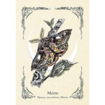 Green Witch’s Oracle Deck 6