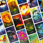 Wild Dreams Animal Oracle 10