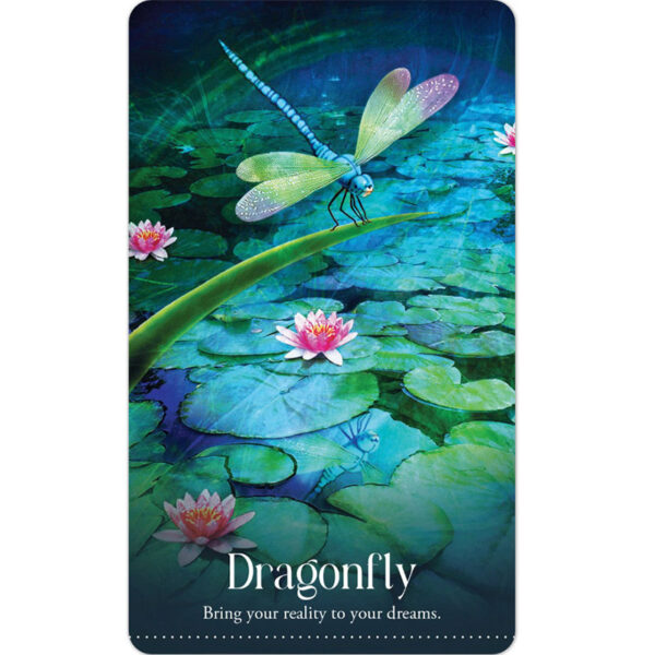 Wild Dreams Animal Oracle 2