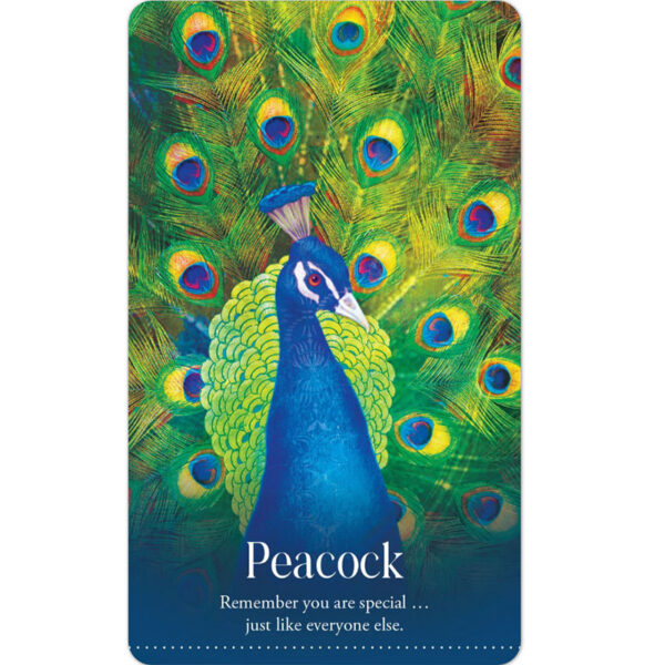 Wild Dreams Animal Oracle 3