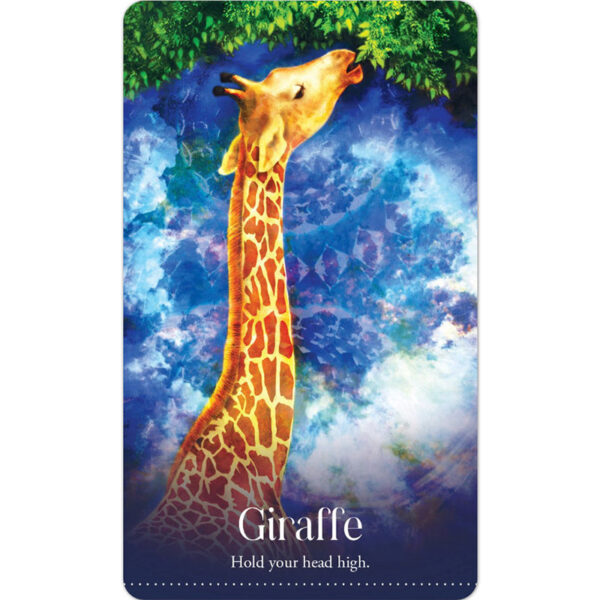 Wild Dreams Animal Oracle 6