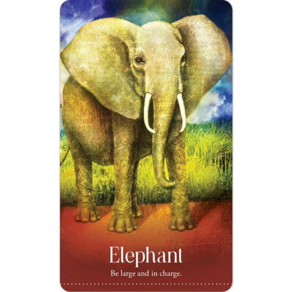 Wild Dreams Animal Oracle 7