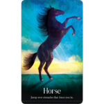 Wild Dreams Animal Oracle 8