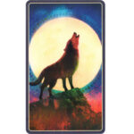 Wild Dreams Animal Oracle 9