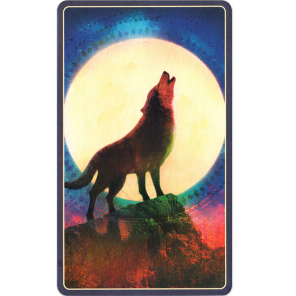 Wild Dreams Animal Oracle 9