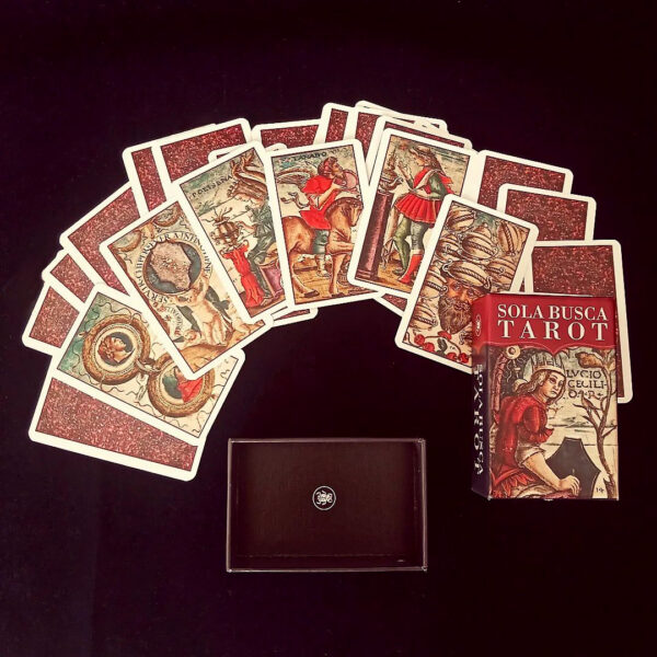 Sola Busca Tarot – Mini Edition 9