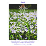 Solar Cards 6