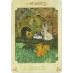 Anamchara Oracle 7
