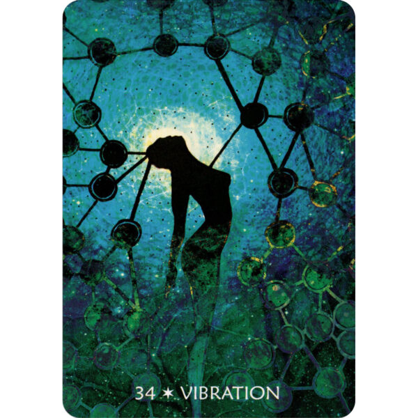 Avatar Oracle 8