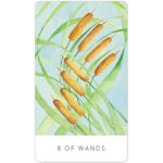 Black Seed Tarot 6