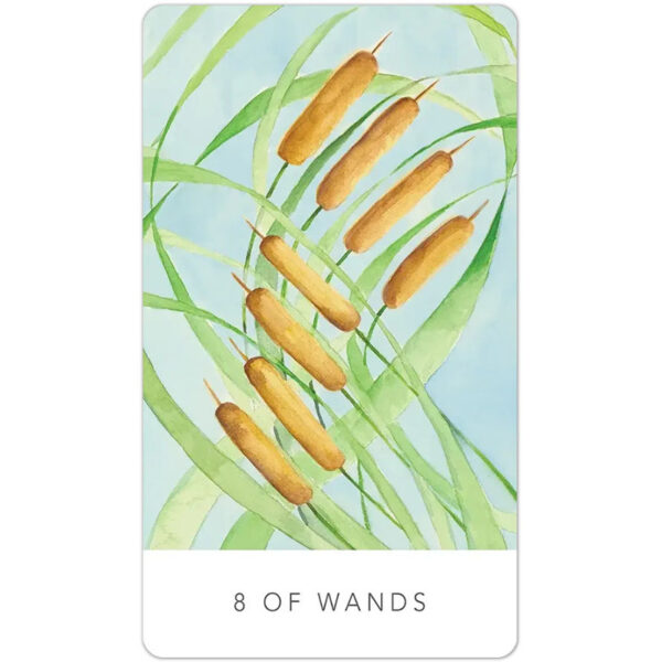 Black Seed Tarot 6