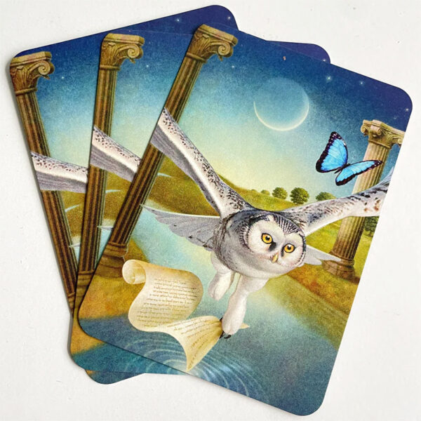 Animal Guides Tarot 10
