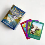 Animal Guides Tarot 11