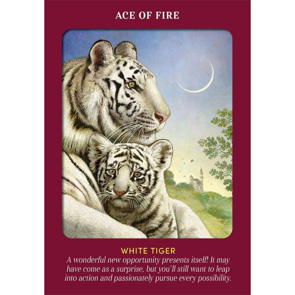 Animal Guides Tarot 5
