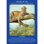 Animal Guides Tarot 7
