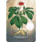 Magickal Herb Oracle 10