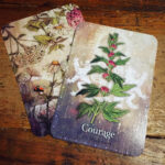 Magickal Herb Oracle 12