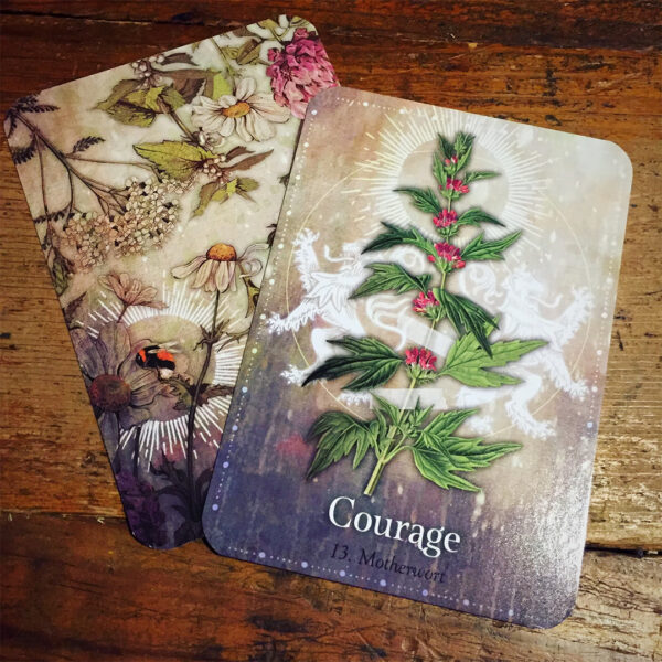 Magickal Herb Oracle 12