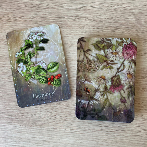 Magickal Herb Oracle 13