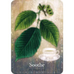 Magickal Herb Oracle 6