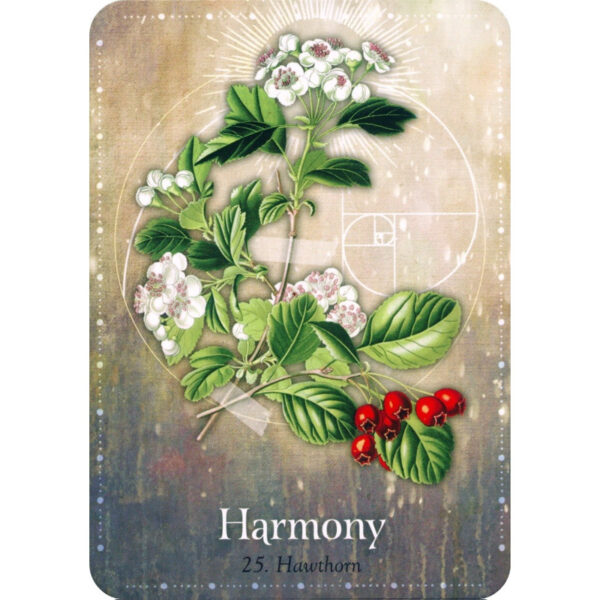 Magickal Herb Oracle 7
