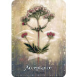 Magickal Herb Oracle 8