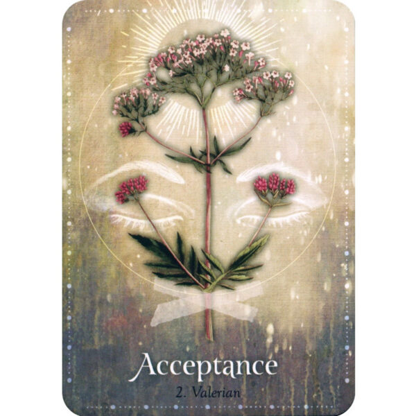 Magickal Herb Oracle 8
