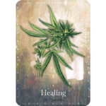 Magickal Herb Oracle 9